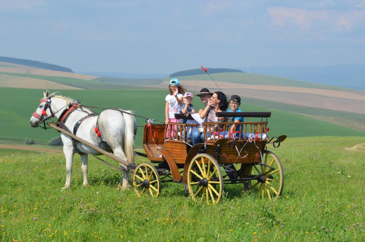Pezion Limbovy Dvor Hotel Врбов Екстериор снимка